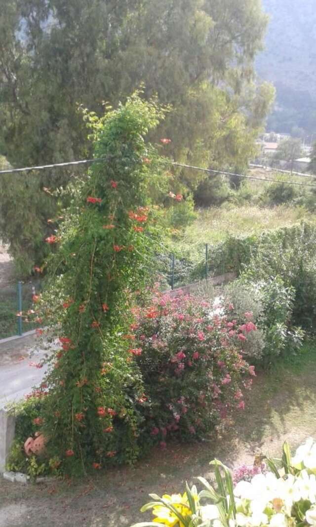 Апартаменты Apartments Stevović Херцег-Нови-25